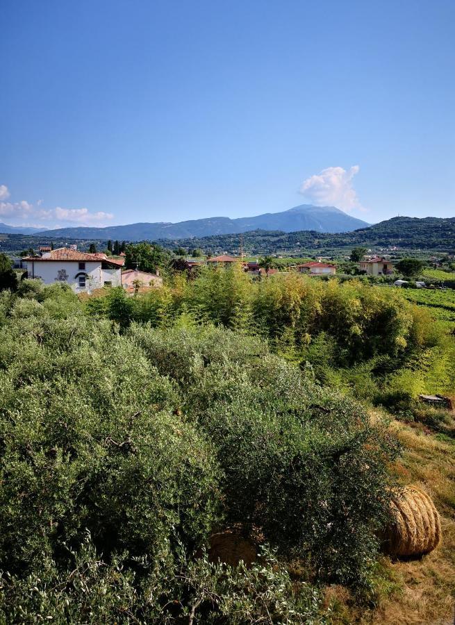 Appartamenti Bellini บาร์โดลิโน ภายนอก รูปภาพ