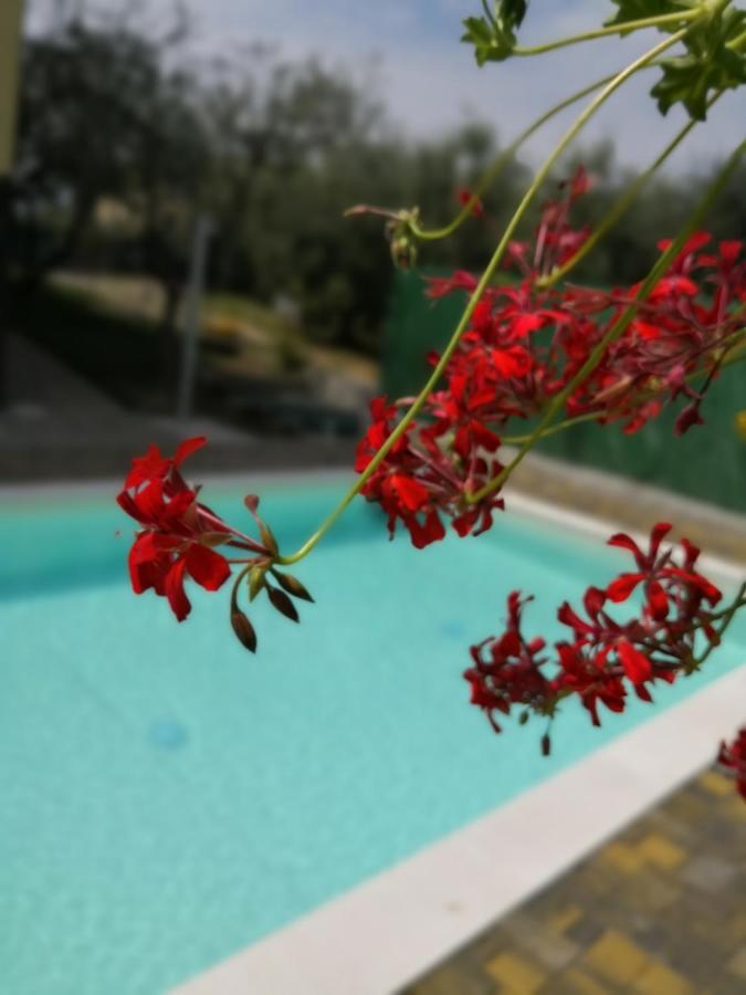 Appartamenti Bellini บาร์โดลิโน ภายนอก รูปภาพ